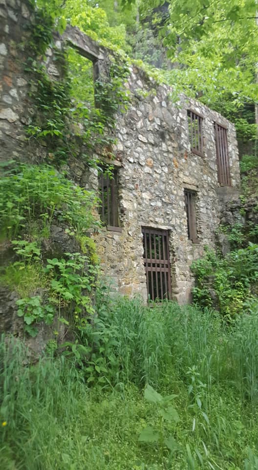 Welch Spring Hospital Ruins