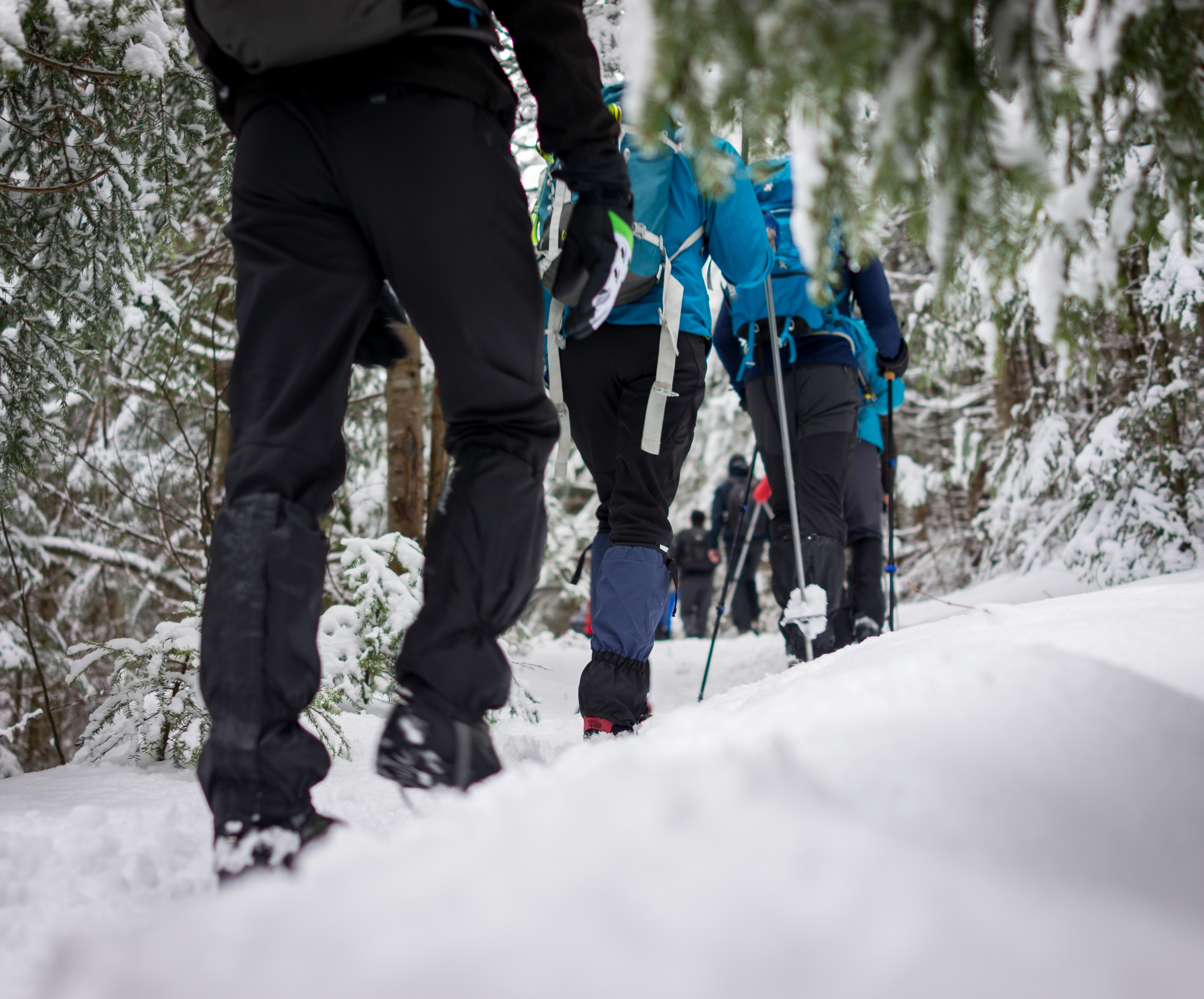 Winter Hike