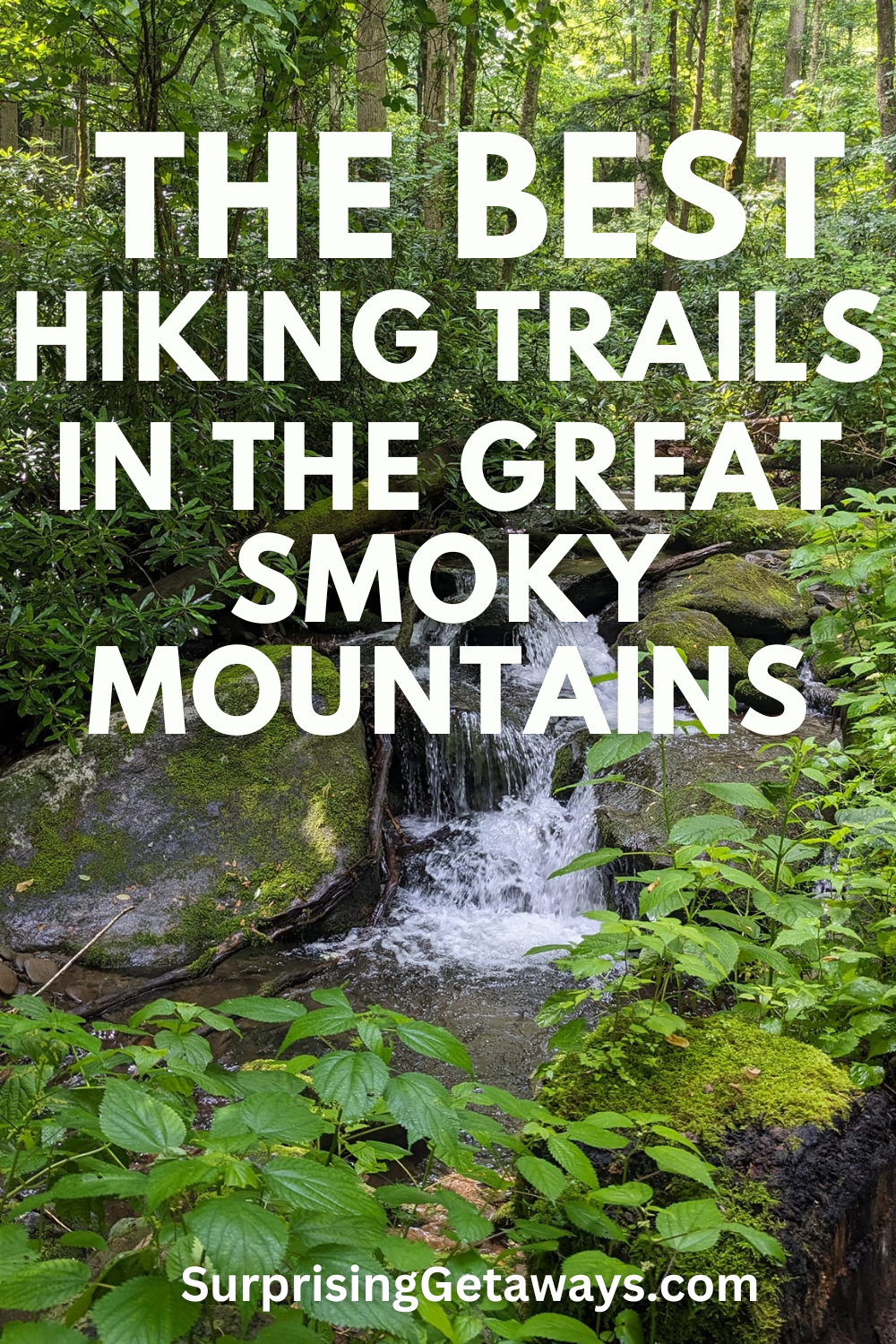 The Best Hiking Trails in the Smoky Mountains