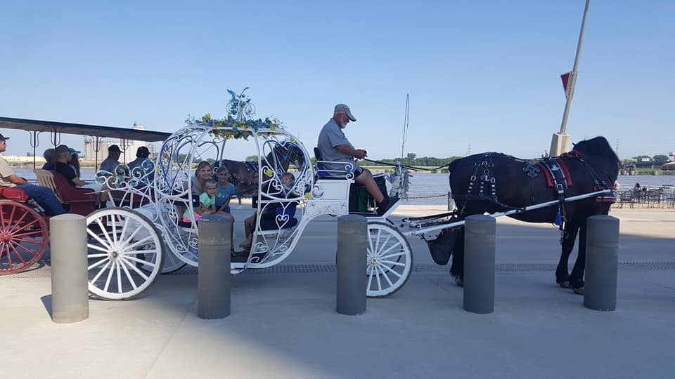 St. Louis Carriage Company