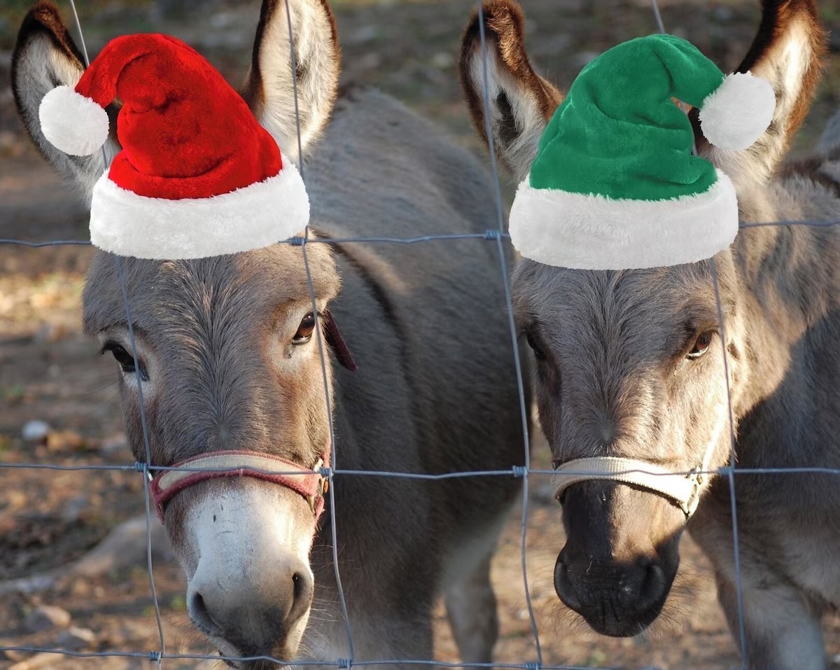 Christmas at the Farmstead